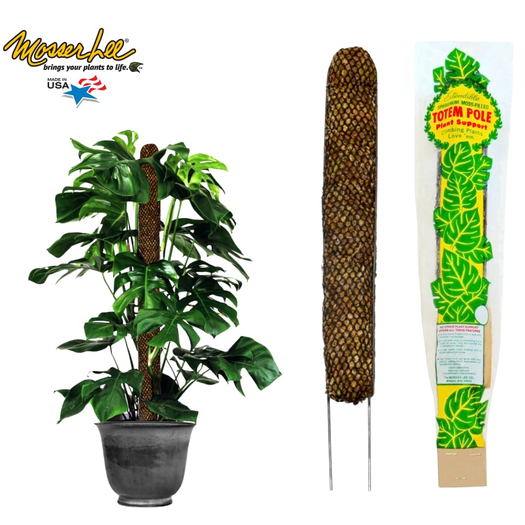 Amazon.com : Mosser Lee Sphagnum Moss Pole for Indoor Plants